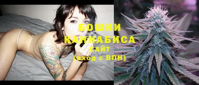 Конопля OG Kush  Железногорск 